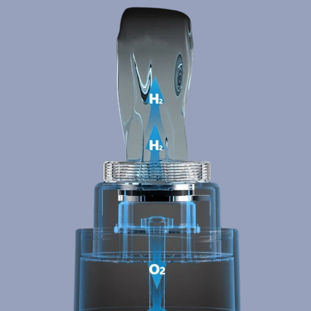 VitalSpring™ Health Water Bottle