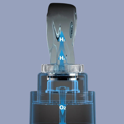 VitalSpring™ Health Water Bottle